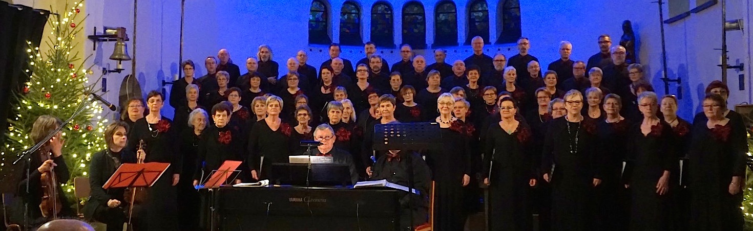 La Schola Camille Jacquemin en 2017