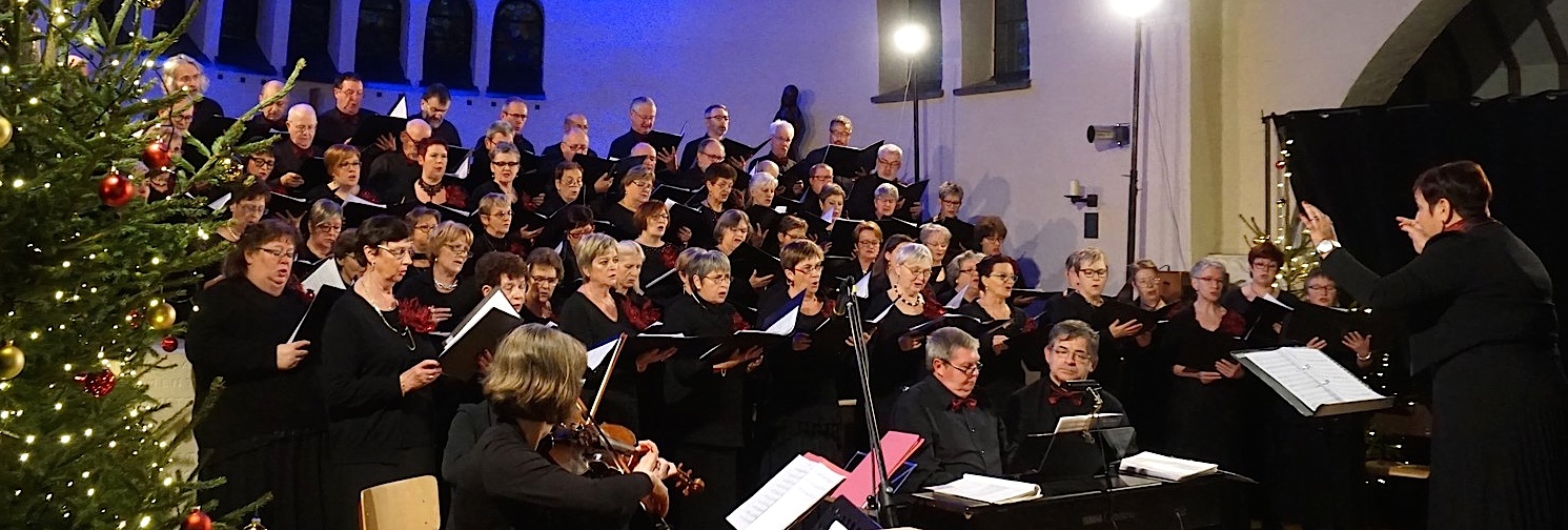 La Schola Camille Jacquemin en 2017