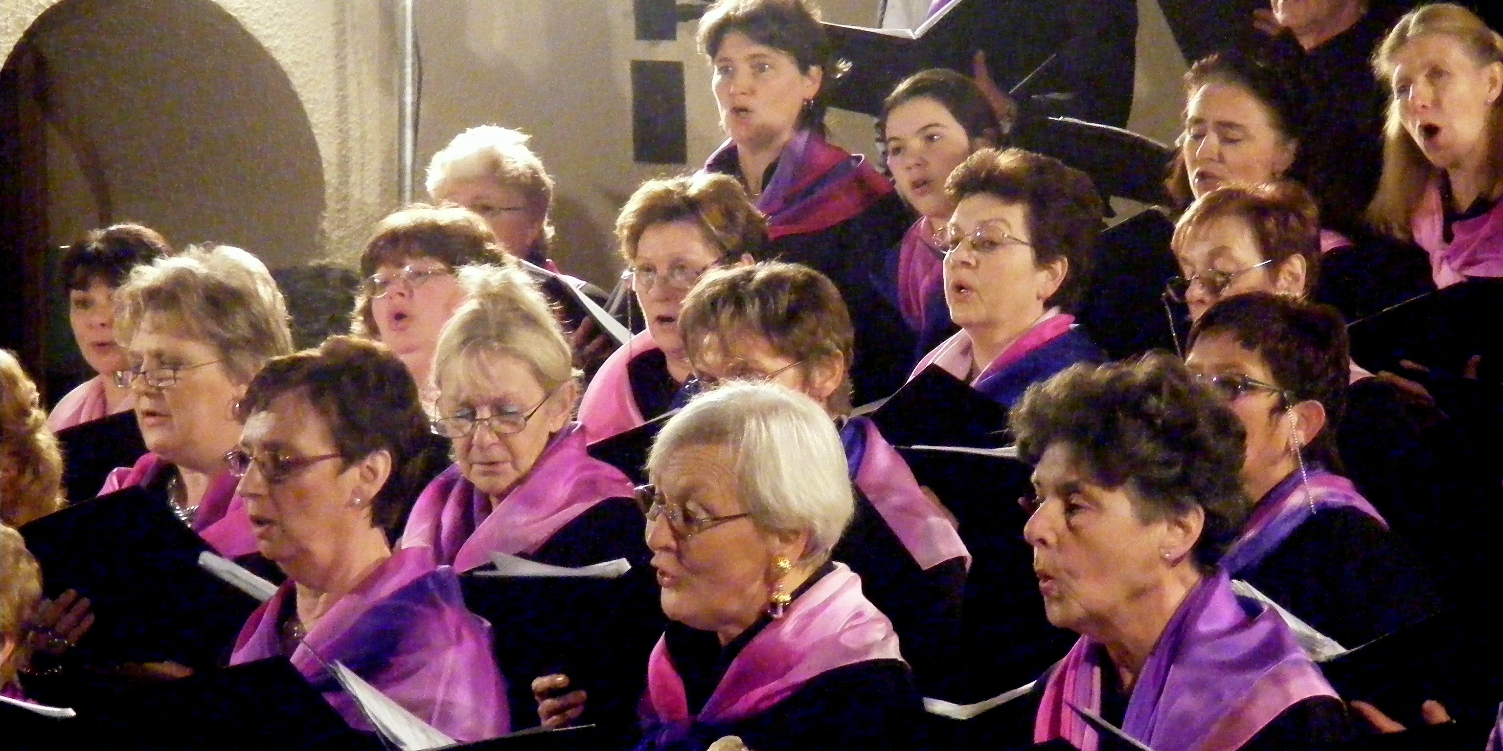 Visages chantants de la Schola Camille Jacquemin 2008 