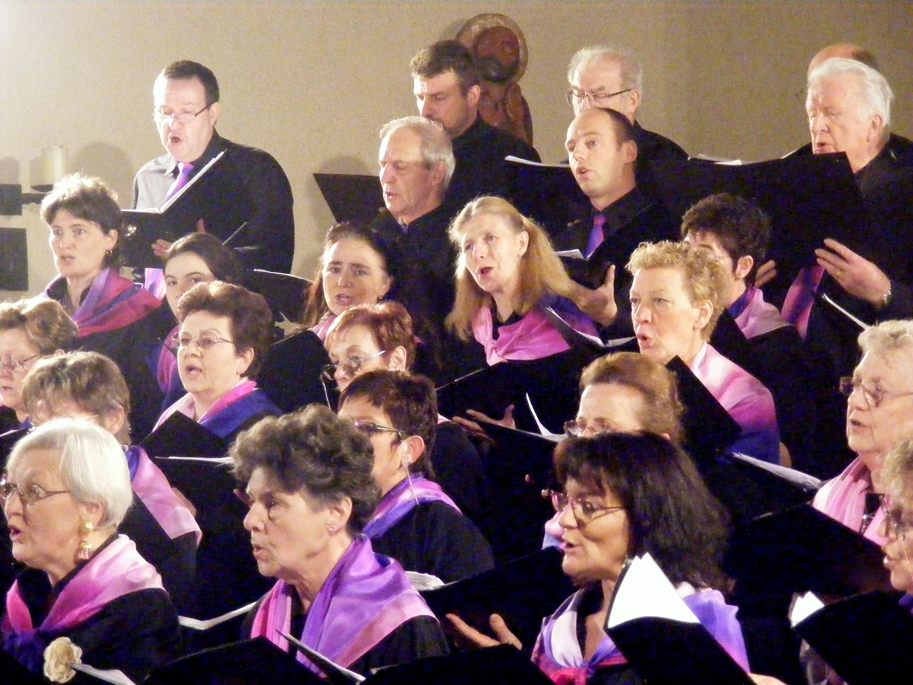 Visages chantants de la Schola Camille Jacquemin 2008 