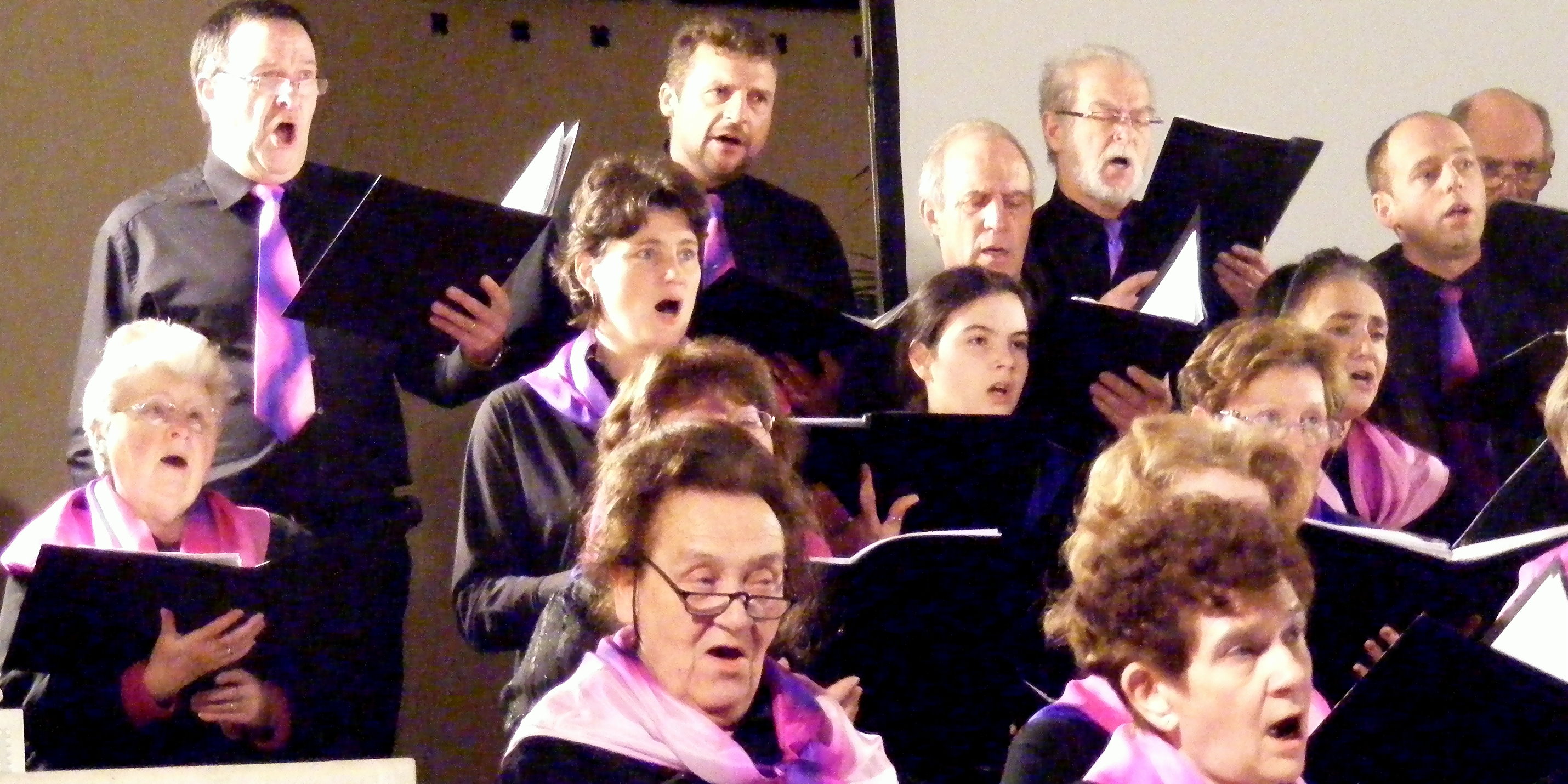 Visages chantants de la Schola Camille Jacquemin 2008