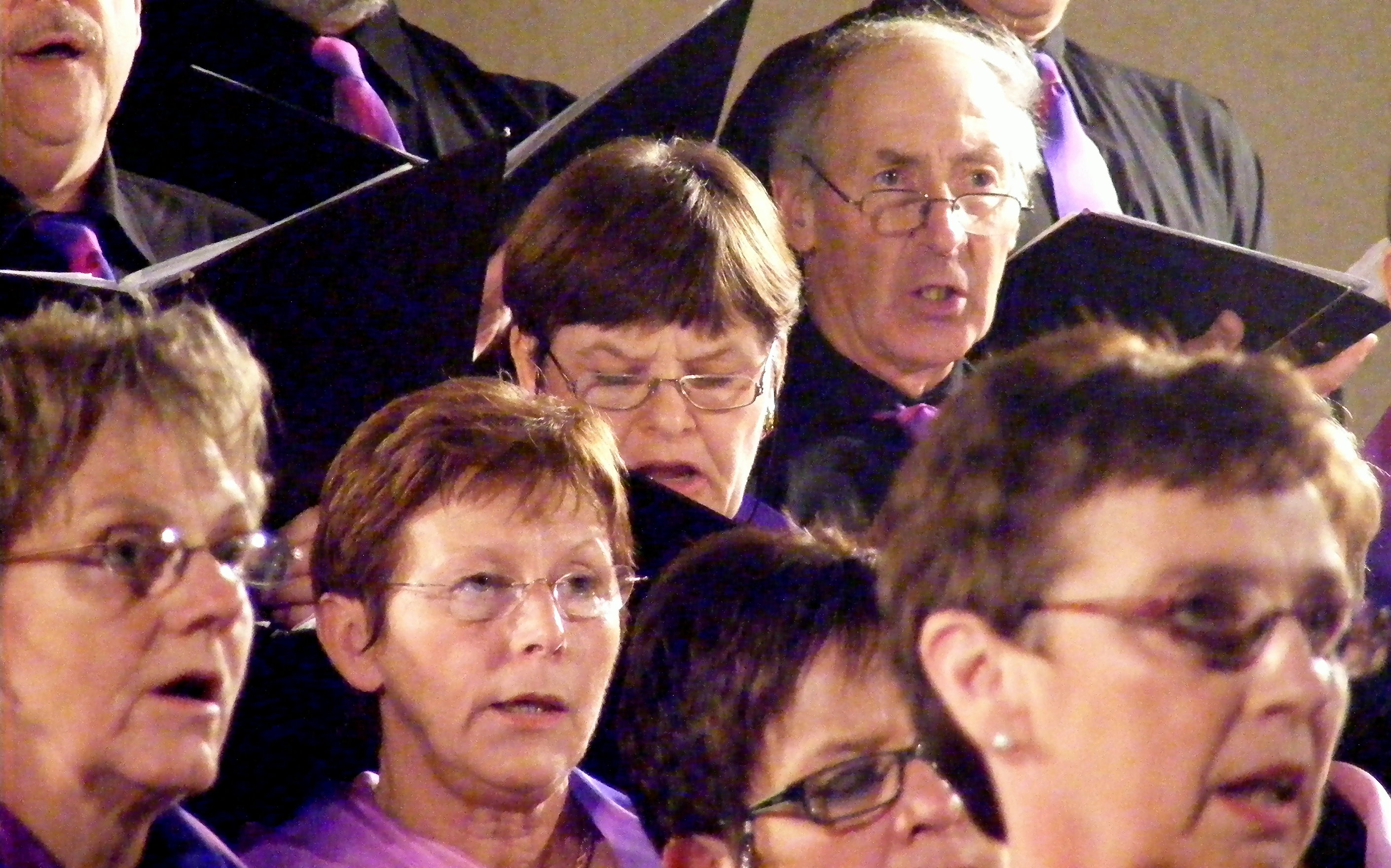 Visages chantants de la Schola Camille Jacquemin 2008 