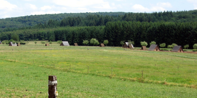 Campagne de Nassogne avec son élevage bio, à l'arrière-plan, les grands bois de Nassogne