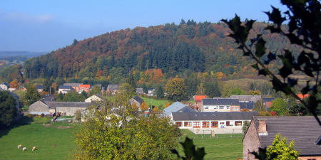 Panorama partiel de la partie est de Forrières,